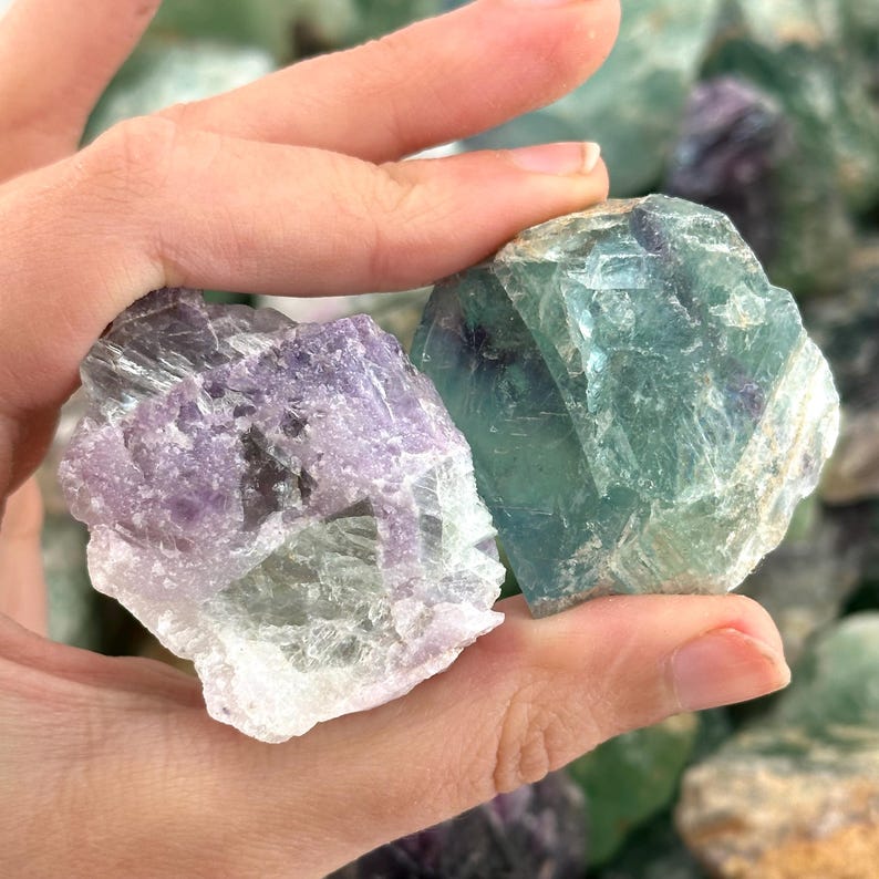 K&ouml;nnte beinhalten: Zwei rohe Fluoritkristalle, einer gr&uuml;n und einer violett und gr&uuml;n, in einer Hand. Die Kristalle sind durchscheinend und haben eine Vielzahl von Facetten.