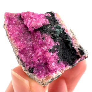 May include: A close-up of a mineral specimen with a vivid colour palette. The image displays a cluster of bright pink crystals set against a black and grey rock base. The mineral is held in a hand.