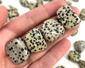 ONE Tumbled Dalmatian Jasper | tumbled stones, tumbled crystal, tumbled Dalmatian jasper, gemstones