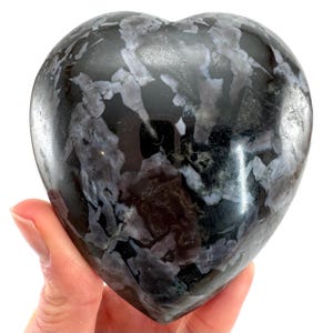 Indigo Gabbro Heart | Merlinite Palm Stone (9x8cm, 369g)