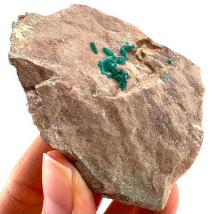 Dioptase w/ Chrysocolla (Namibia) | dioptase crystal, mineral specimen