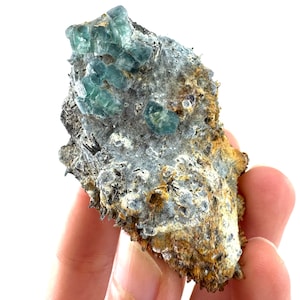 May include: A natural mineral specimen featuring clusters of translucent, teal-colored fluorite crystals. The crystals are set against a matrix of gray, brown, and black rock, showcasing a rough, textured surface. The specimen is held in a hand, highlighting its size and natural beauty.