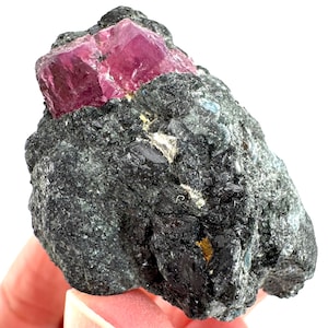 May include: A raw mineral specimen featuring a vibrant, faceted, magenta-colored crystal protruding from a dark, textured matrix. The matrix is a deep charcoal gray with hints of lighter gray and small, reflective black inclusions. The overall form is irregular and natural.