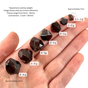 May include: A collection of seven brown garnet crystals of varying sizes, ranging from 0.3 to 8 grams. The crystals are displayed on a hand, with their approximate size and weight labeled next to each one. The text "Specimens sold by weight. Image shows sizes as a loose reference. Pieces range from 5mm - 20mm (conversion: 1 inch = 25mm)" is also included in the image.