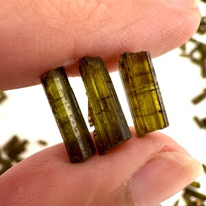 May include: Three green and brown, naturally formed, long, thin, and rectangular crystals.
