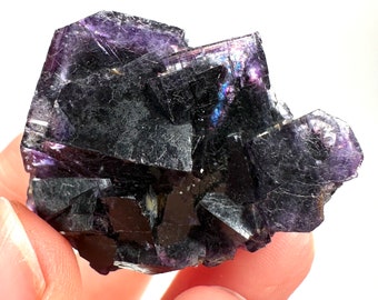 Okorusu Phantom Fluorite (Namibia) | Midnight Pocket, fluorite cluster, cubic fluorite, purple fluorite, green fluorite, crystals