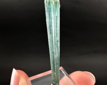 Indicolite Tourmaline (Pakistan) | blue tourmaline, natural tourmaline, green tourmaline, tourmaline crystal, bi color tourmaline