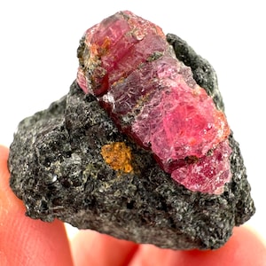 May include: A large, pink ruby crystal embedded in a dark grey rock. The ruby has a rough, faceted surface and is surrounded by a matrix of black and grey rock.