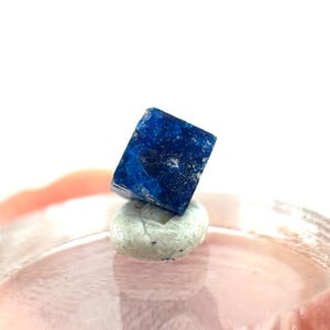 Op de afbeelding: Een diepblauwe, kubusvormige mineraal, mogelijk lapis lazuli, rust op een kleine, lichtgrijze steen. Het oppervlak van het mineraal heeft een ruwe textuur en verschillende tinten blauw. De achtergrond is zacht, wazig roze en wit.