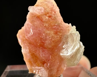 Rhodochrosite with Albite (Pakistan) | rhodochrosite crystal, rare crystals, mineral specimen, rare minerals, natural rhodochrosite