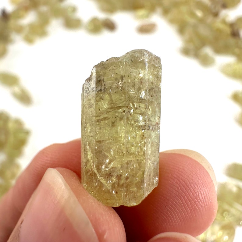 ONE Golden Apatite Mexico raw apatite, natural yellow apatite, apatite crystal, mineral specimen, golden apatite crystal image 9