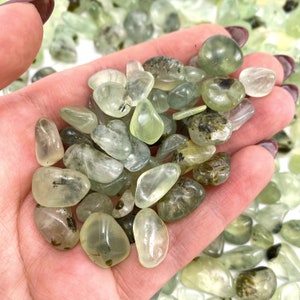 20g Tumbled Prehnite Chips | Mini Crystal Stones (5-12mm)