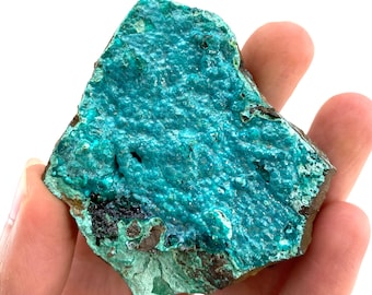 Chrysocolla Specimen (Congo), raw chrysocolla, botryoidal chrysocolla, chrysocolla crystal, rare crystals