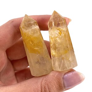 May include: Two citrine crystal points with a golden-yellow hue and translucent clarity. The crystals have a tapered shape, with visible internal patterns and inclusions. The crystals are held in a hand against a white background.