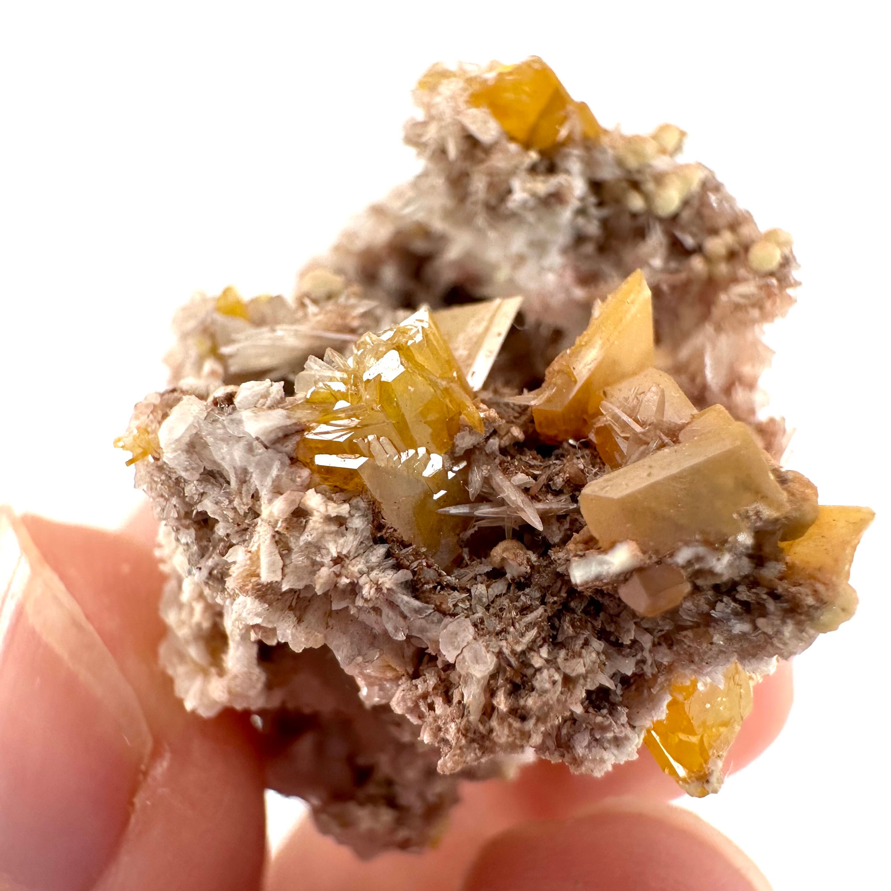 ウルフェナイトとミメタイトの鉱物標本 | ラ・モリタ鉱山（メキシコ