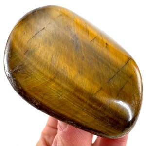 Polished Tiger&#39;s Eye Freeform Crystal (5.8 x 4.7 cm)