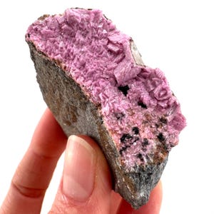 May include: A raw mineral specimen with a striking contrast of colours and textures. The piece showcases a vibrant, crystalline, magenta-coloured formation atop a dark grey, rough matrix. Black speckles are visible.