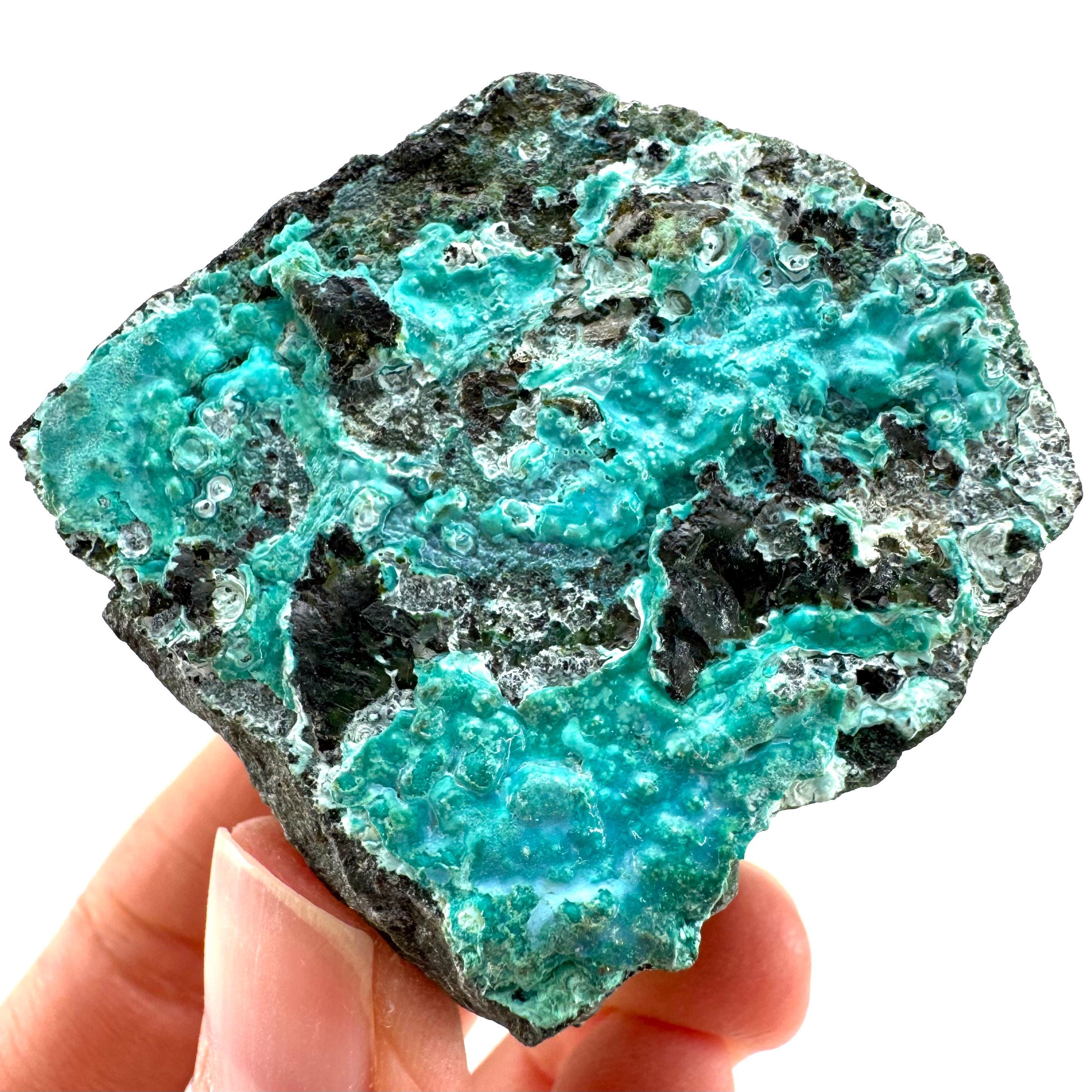 Chrysocolla / Gem Silica (DR Congo) | Botryoidal Chrysocolla