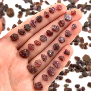 May include: A collection of small, rough, red ruby crystals. The crystals are various shades of red and have a natural, unpolished look.