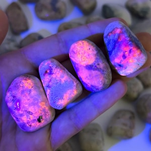 May include: Four glowing, smooth stones held in a hand. The stones have a light gray base color with vibrant pink and purple internal patterns. The stones are illuminated with a bright, colorful light.