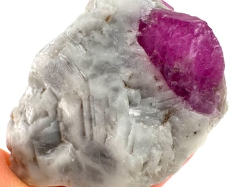 パキスタン産、母岩付きルビー結晶（282グラム）｜天然鉱物標本
