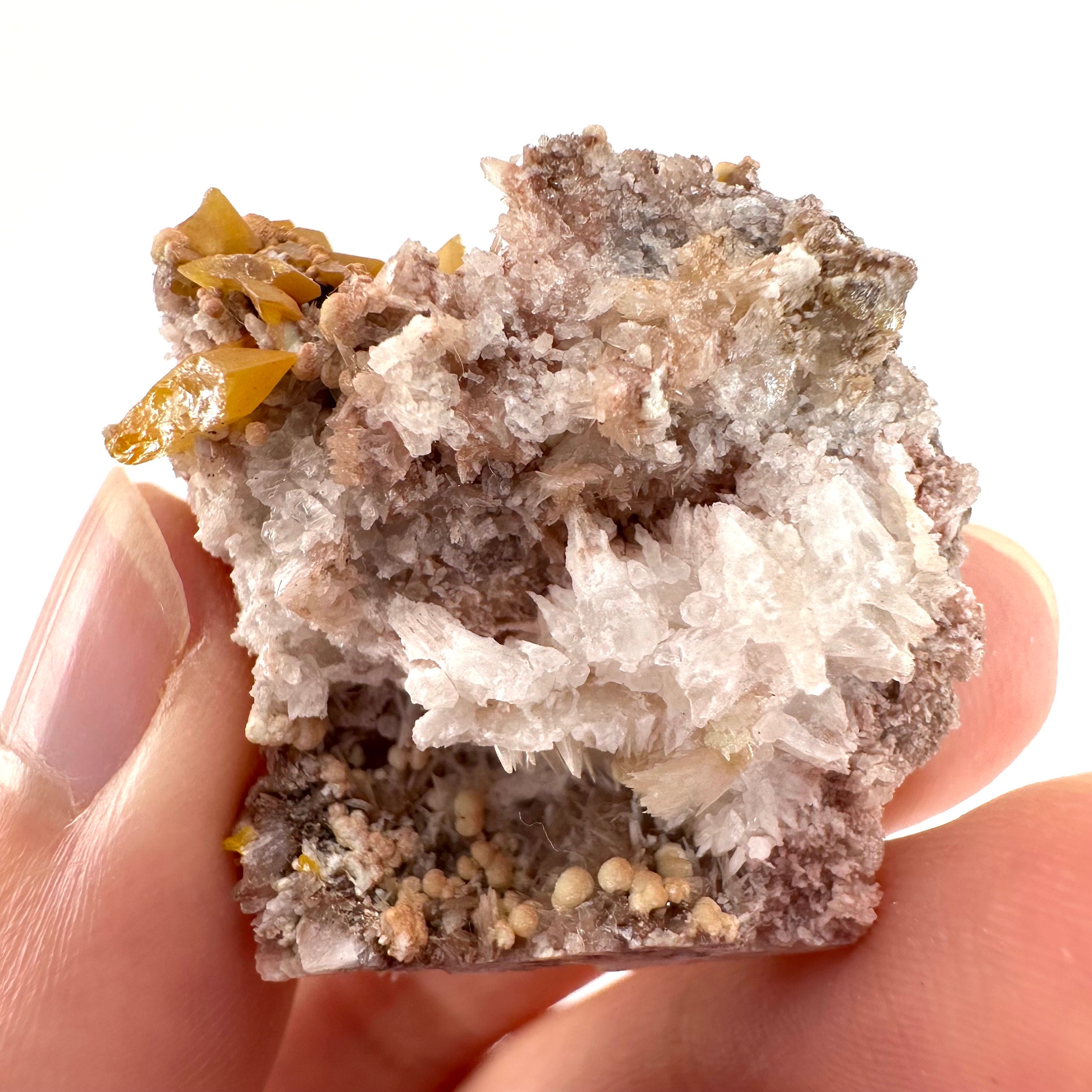 ウルフェナイトとミメタイトの鉱物標本 | ラ・モリタ鉱山（メキシコ