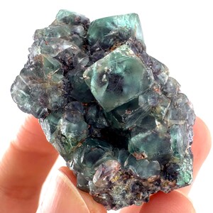 May include: A close-up of a fluorite crystal cluster, showcasing green and purple hues. The crystals, with their cubic structure, are partially translucent and have a rough texture. The mineral specimen is held in a hand against a white backdrop.