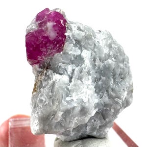 May include: A raw, uncut ruby gemstone with a vibrant magenta hue is embedded in a matrix of light gray rock. The ruby's crystalline structure is visible, contrasting with the rough texture of the surrounding stone. This natural mineral specimen is displayed against a white background.