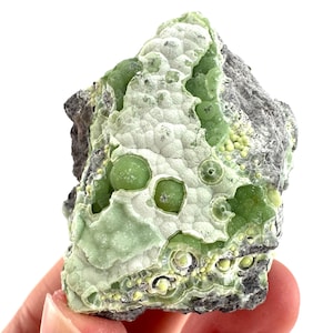 May include: A raw mineral specimen featuring a cluster of pale green, spherical botryoidal formations embedded within a dark, textured gray rock matrix. The surface displays a mix of smooth, rounded nodules and small, bright lime green circular crystals.
