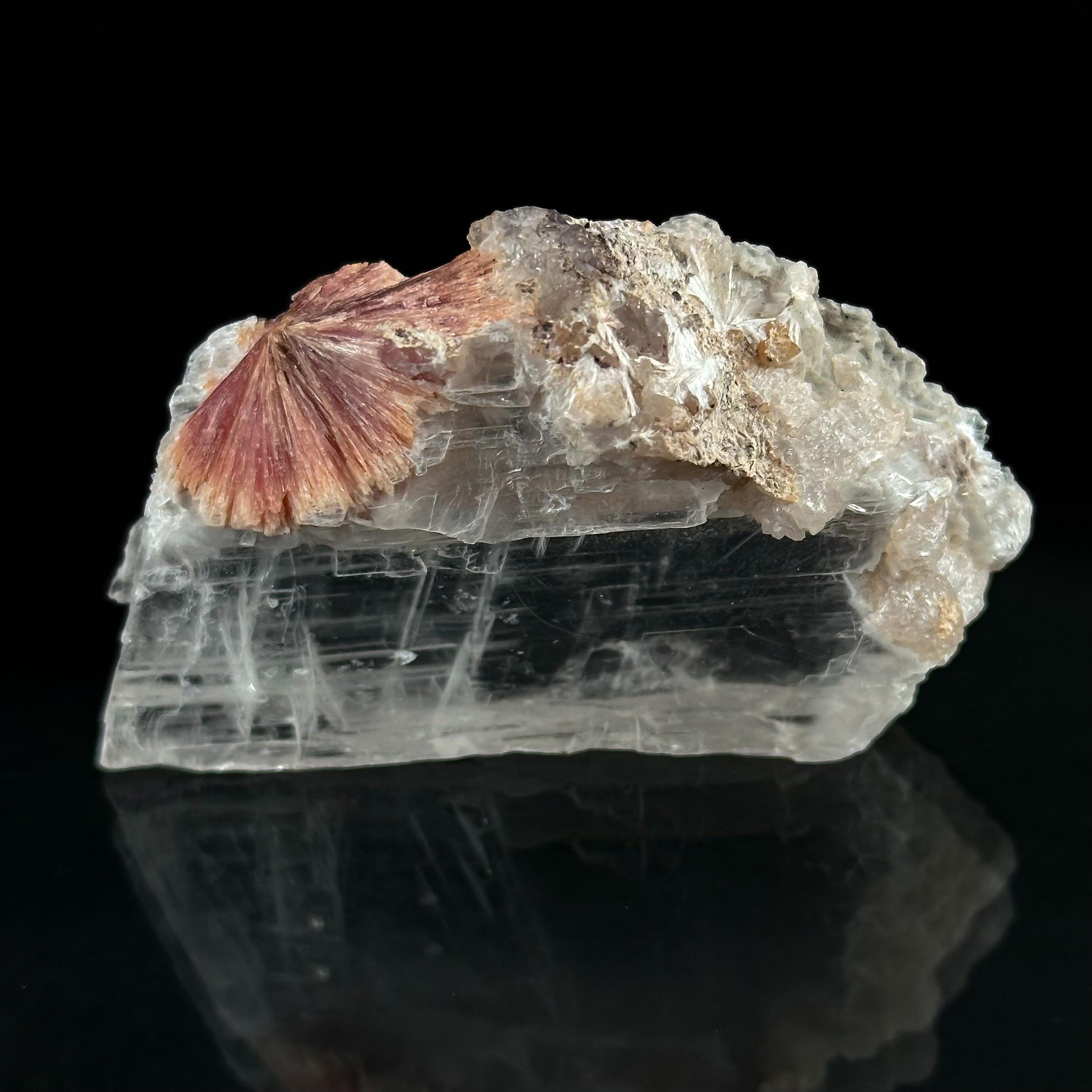 Xonotlite in Selenite W/ Inesite (south Africa) | Inesite Crystal, Rare ...
