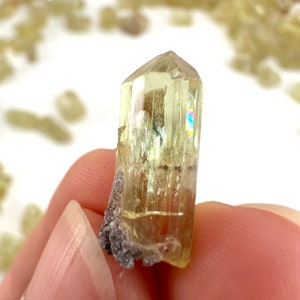 ONE Golden Apatite Mexico raw apatite, natural yellow apatite, apatite crystal, mineral specimen, golden apatite crystal image 5