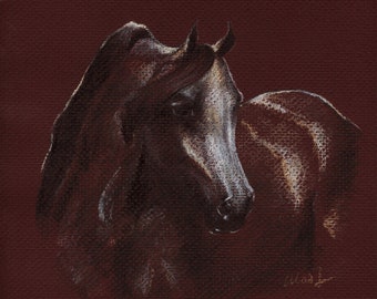 Horse portrait in pastel pencil, horse art, giclee prints, Arabian horse, gift for horse lover