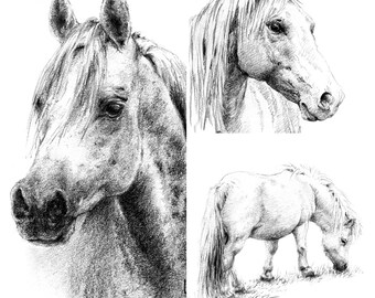 RETAINER for commission portrait - realistic drawing of a horse in graphite pencil