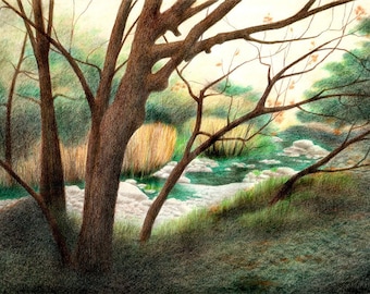 Drawing of creek behind tree trunks, landscape, landscape drawing, nature art, giclee prints