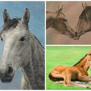 RETAINER for commission portrait - realistic drawing of a horse in colored pencil
