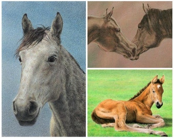 RETAINER for commission portrait - realistic drawing of a horse in colored pencil