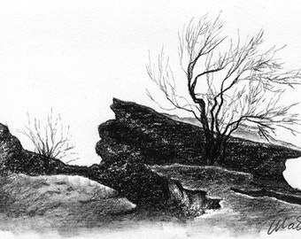 Charcoal pencil sketch, 6" x 4" - drawing, nature, bare trees - Old Rocks