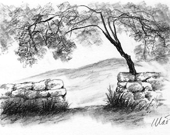 Charcoal pencil sketch, 6" x 4" - nature, bare trees, drawing - Over a Stone Fence