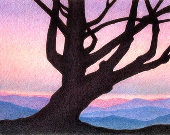 Drawing of old gnarly pine tree in sunset, landscape, nature art, tree art, mountains