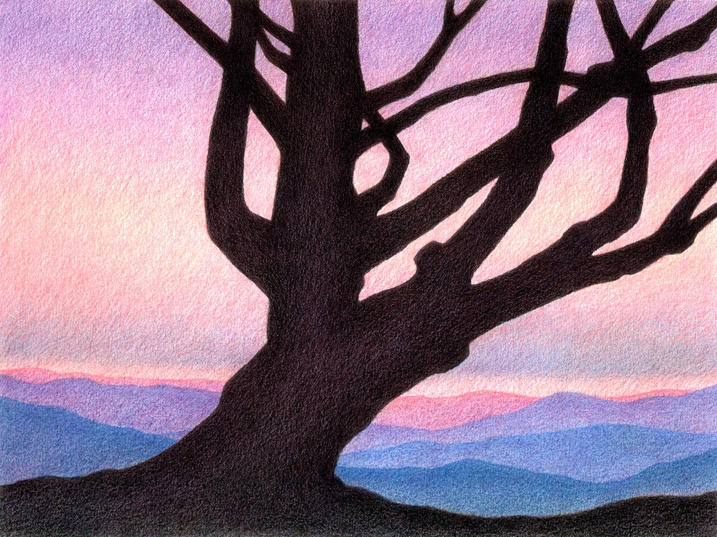 Drawing of Old Gnarly Pine Tree in Sunset, Landscape, Nature Art, Tree