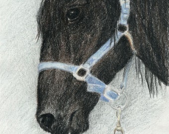 Horse portrait in pastel pencil, horse art, giclee prints, outdoors scene, gift for horse lover