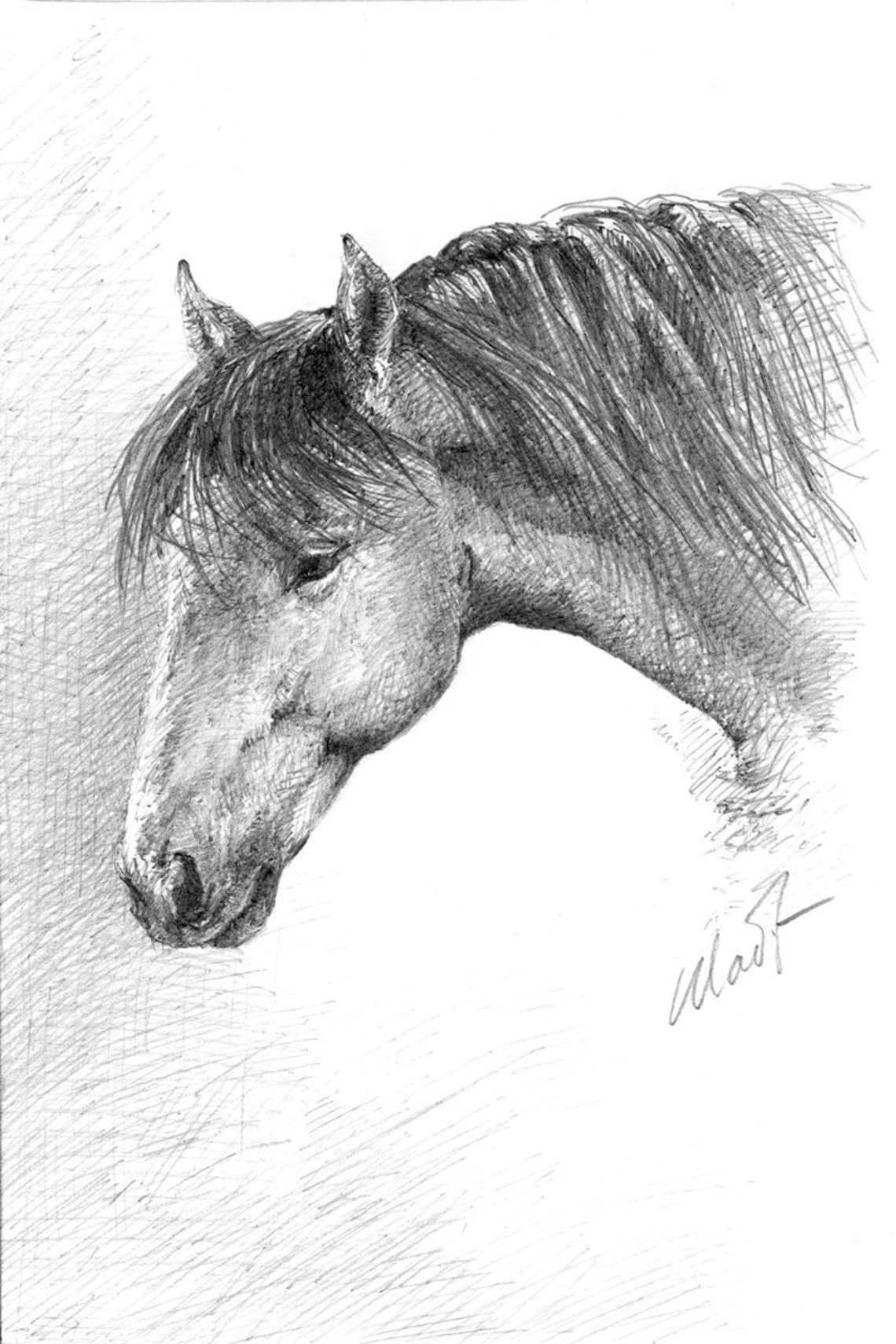 Horse Portrait in Graphite Small Horse Art Horse Gift Ideas - Etsy
