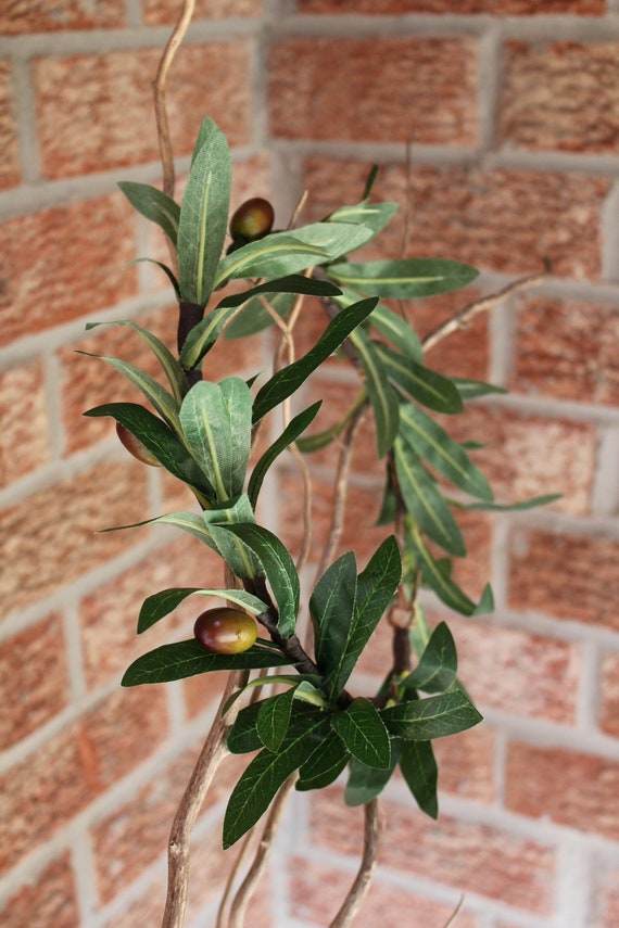 Olive Leaf Crown olive crown green leaves crown greek Etsy