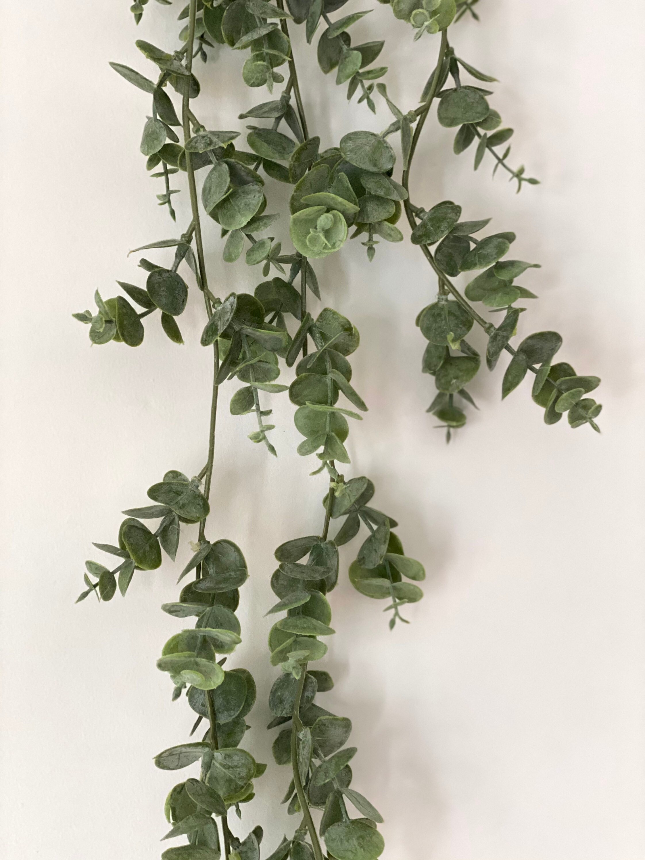 Real touch eucalyptus eucalyptus garland greenery garland Etsy