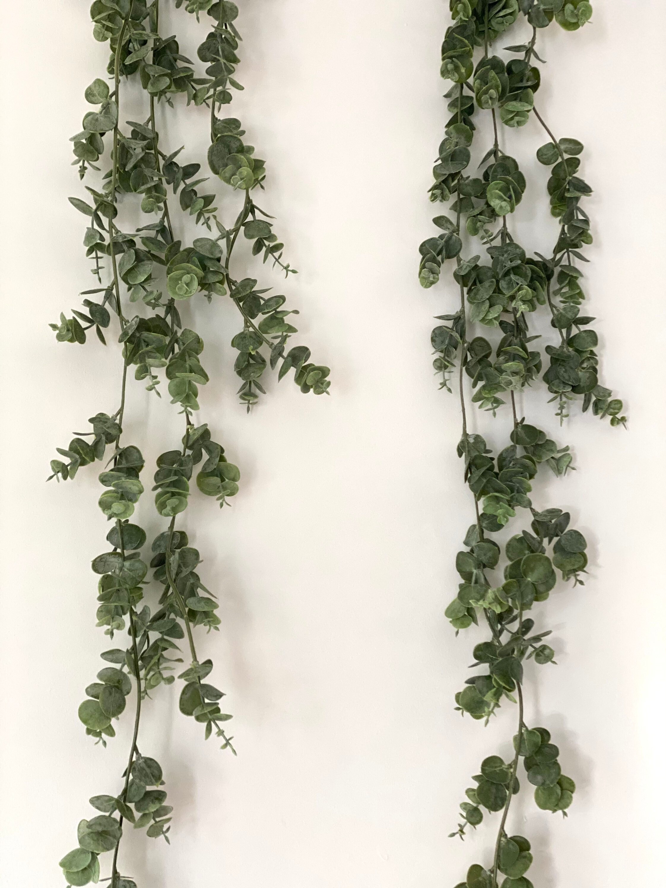 Real touch eucalyptus eucalyptus garland greenery garland Etsy