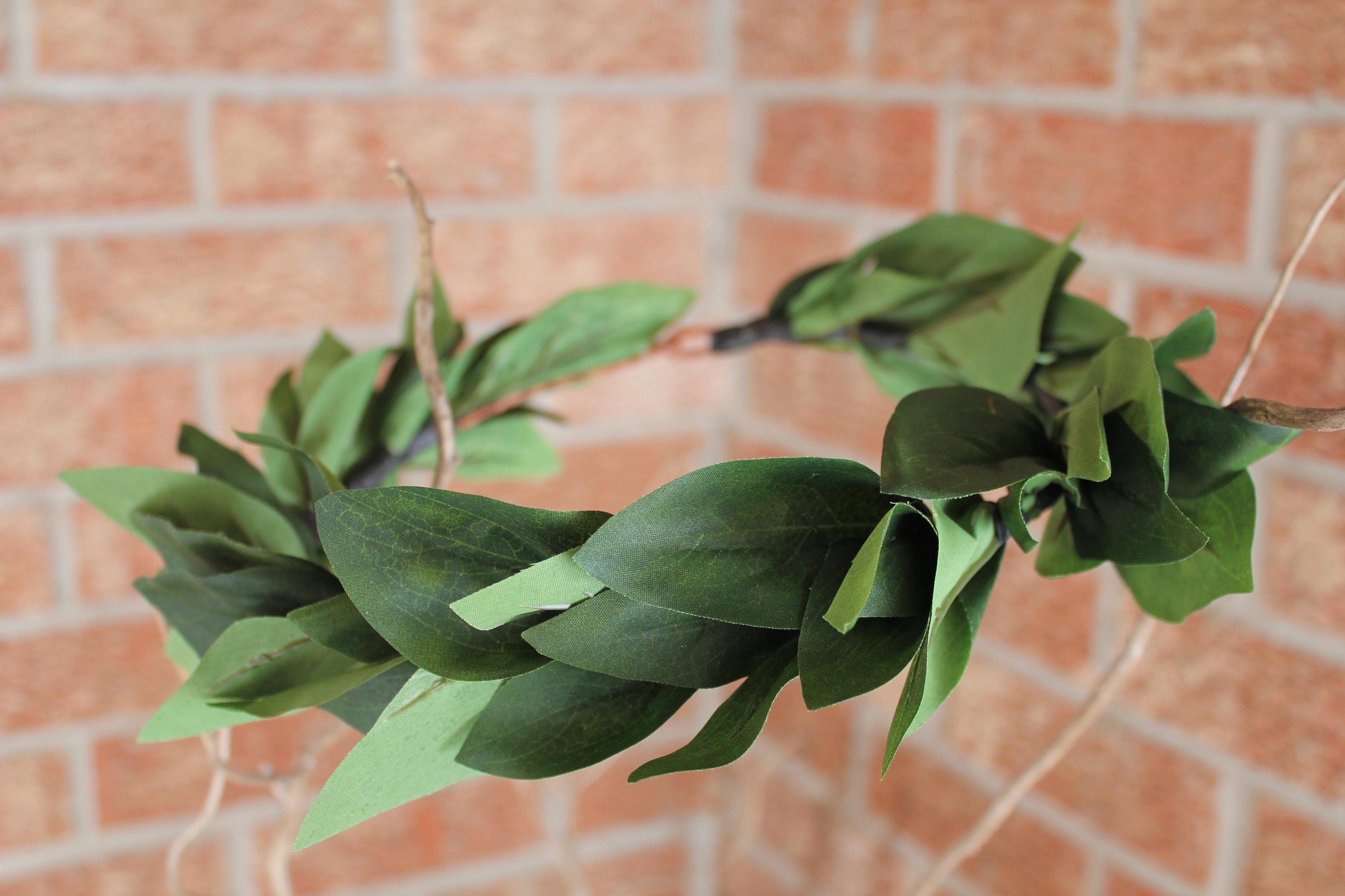 Olive Leaf Crown greek crown green leaves crown greek Etsy