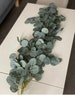 3 FEET Lush Eucalyptus garland, greenery garland, eucalyptus table runner, greenery for arch, silver dollar, aisle runners and decor