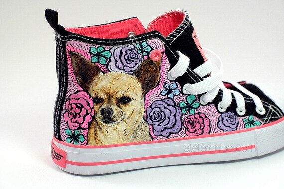 converse para perros