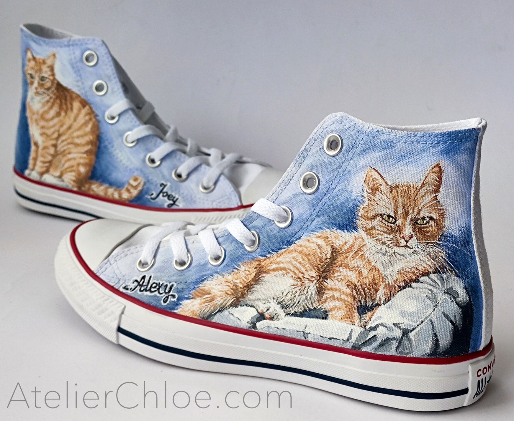 Pet Portrait Converse Shoes Custom Shoes Hand Painted - Etsy Canada