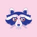 Tipsy Raccoon